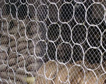 ����(d��ng)�h(hu��n)�η��o(h��)�W(w��ng)ʩ���F(xi��n)��(ch��ng)